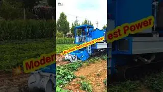 Modern Potato Harvester 🌾 | Smart Tech in Action#ModernFarming #SmartMachine #HarvestPower