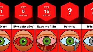 Timeline: What If You Stopped Blinking?