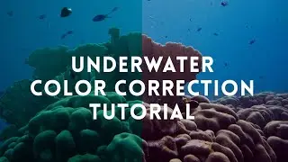 Underwater Color Correction 101 - Tutorial + Lightroom Preset