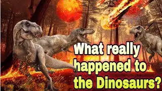 What Really Happened to the Dinosaurs? The Mystery of Extinction Explained! Their Amazing History!