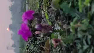 মুসলমান এর বাচ্চা হয়েও কেন নামাজ পড়ো না যুবক। Anisur Rahman Ashrafi।আনিসুর রহমান আশরাফী ২০২৬😭😭