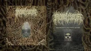 MORTIFERUM - Archaic Vision Of Despair (official audio)
