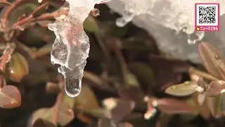 【北海道もぽかぽか春の気配？】函館で11℃予想＿札幌は最低気温がプラス！日中は8℃予想も＿積雪多い地域では急な雪解けの恐れ&hellip;屋根からの落雪や道路状況の変化に注意を