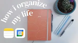 как я организую свою жизнь: Google Календарь, Bullet Journal, приложение для заметок