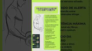 🏋🏿60 Minutos de Treino  #fitness #saude