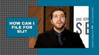 How Can I File for a Special Immigrant Juvenile Visa? | Attorney Insight