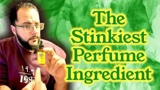 L'ingrediente pi&ugrave; puzzolente di sempre (spiegazione dello zibetto)