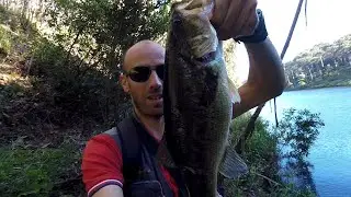 Pesca ao achigã com crankbait 2024