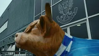 Bagpipes & Bravehearts: The St Johnstone Story (Episode 1 Intro)