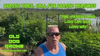ODG&rsquo;s Drastic Times, Call for Drastic Measures&hellip;&rdquo;Time, Patience and Love Can Go a Long Way 