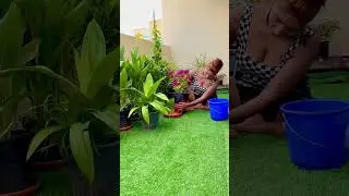 #dubainature #dubailife #anjuyadav #burjkhalifa #foryoupage #viralvideostoday #trendingsongs
