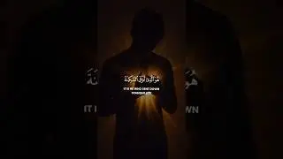 Surah Al-Fath | Verses 4.Reciter | Omar Bn Diaa Aldeen