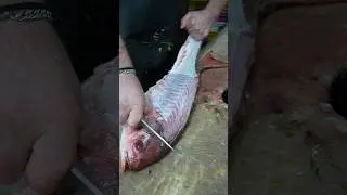 Genius Hack: Skin & Fillet a Snapper in Under 1 Minute!