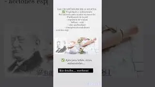 SAL DE SCH&Uuml;SSLER NR.11 SILICEA