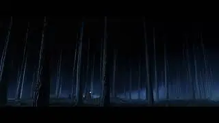 Primera veZ en el bosque prohibido espa&ntilde;ol latino