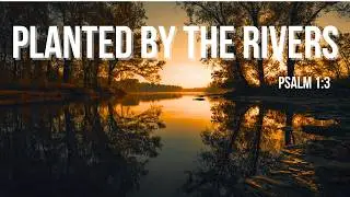 Planted by the Rivers | Psalm 1 Inspired Country Worship Song | Relaxing Christian Music