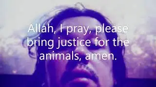 Allah will give justice for the animals on the Day of Judgment.