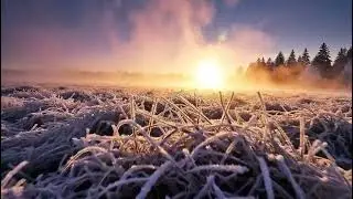 Winter Sunrise Over Frosty Field With Golden Light And Cinematic Atmosphere Video