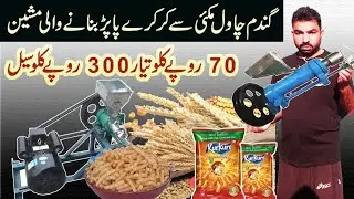 Business ideas 2025 | kurkure papad making machine | corn puff machine
