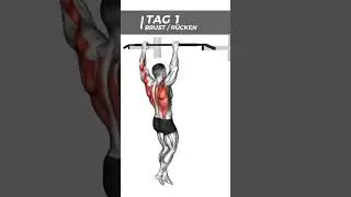 Arnold Split f&uuml;r Muskelaufbau - Trainingsplan Split Training #trainingstipps #trainingsplan