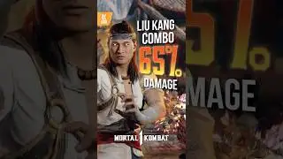 MK1 Liu Kang x Stryker INSANE Combo 65%