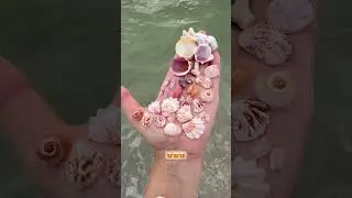 Pretty little ocean treasures🐚💗🌊