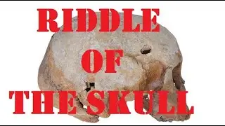 300 Year Old European Remains found in New Zealand!