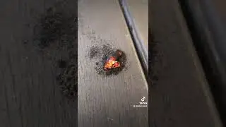 fire by Friction!!🔥.  #primitivetechnology #bushcraft #nature #frictionfire #camping