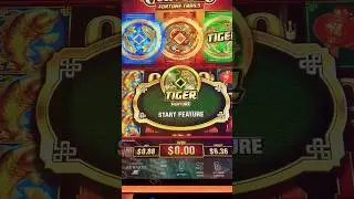 Tiger feature activated on Coin Trio! #lasvegas #slot #casino #bigwin #gambling #bonus #lucky