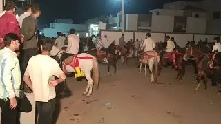બોટાદ ગામ નું ફુલેકું 🐎