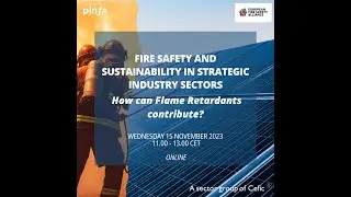 Fire safety and sustainability in strategic industry sectors: how can Flame Retardants contribute?