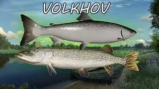 Russian Fishing 4 #RF4   Volkhov River Atlantic Salmon
