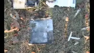 The New Xbox Explosion