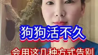 狗狗活不久时会这样跟你告别#狗狗 #萌宠 #猫咪 #养狗人