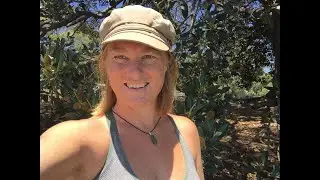 Shifting States EFT - Self Empowered CFS Recovery Resources