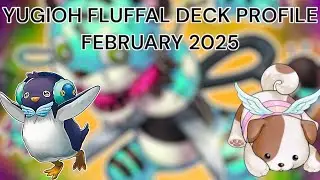 YUGIOH FLUFFAL DECK PROFILE FEBRUARY 2025 #yugioh #yugiohtcg #fluffal #deckprofile #yugiohmasterduel