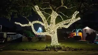  Contest Winning Coral Springs Christmas Home