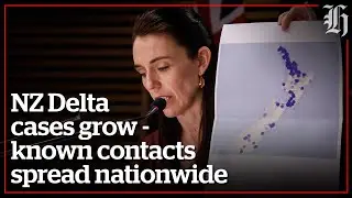 NZ Delta Outbreak - lockdown extended as cases grow | nzherald.co.nz