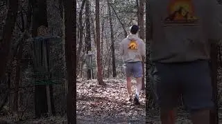 Never walking in a putt again.. #discgolf #shorts