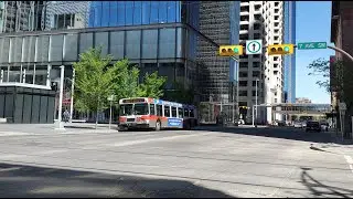 NEW FLYER D40LF #7795 (2002) CALGARY TRANSIT - 307 MAX PURPLE | KUBSSS