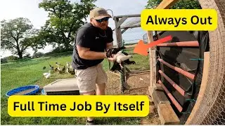 You Can Farm Even With a Full-Time Job&mdash;Here&rsquo;s How I Do It