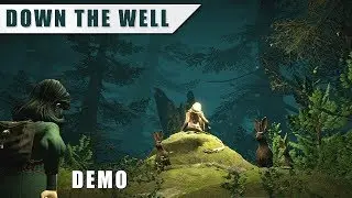 Down the Well