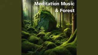 Guiding Zen Imagery