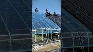 Equipment Installation Process for Covering a Large-Scale Greenhouse #smartfarming #gardeningtips