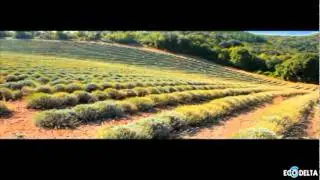 Eco Delta Drone les Mées