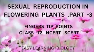 SEXUAL  REPRODUCTION IN FLOWERING  PLANTS  PART - 3 .FINGERS  TIP  POINTS  .CLASS -12 .NCERT  .