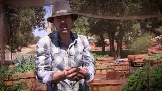 Chris Ferreira for C-Wise: compost ain't compost!