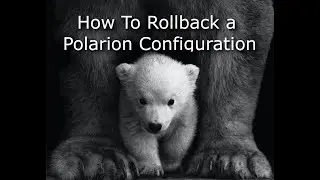 Polarion ALM Tutorial - How To Rollback a Polarion Configuration #17