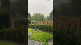 Thunderstorm. #rainsoundsasmr
