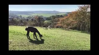 德國鄉村風景german countryside landscape